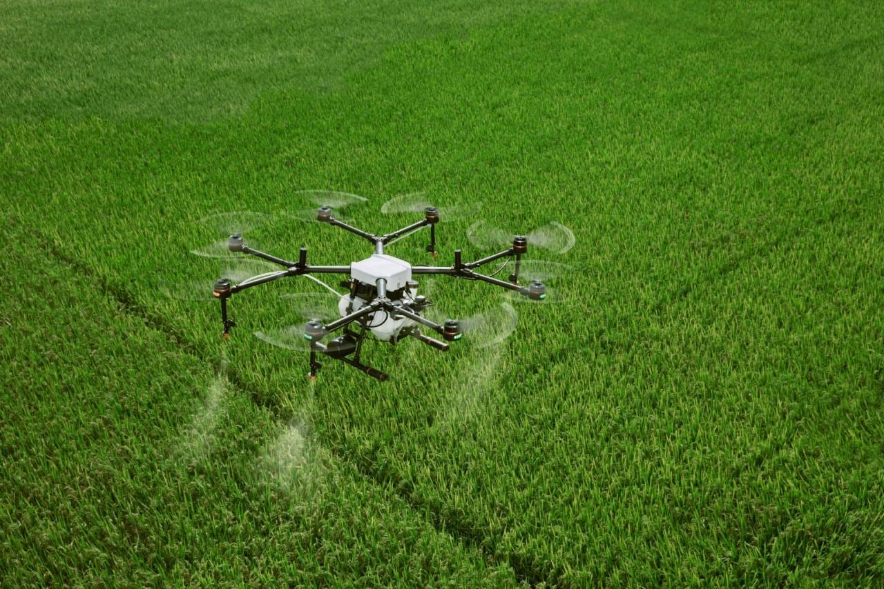 Quantos hectares um drone pulveriza por dia?